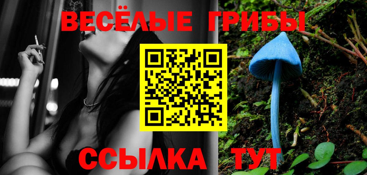Галлюциногенные грибы GOLDEN TEACHER  магазин    Вход с VPN  Белгород  Галлюциногенные грибы Cubensis 