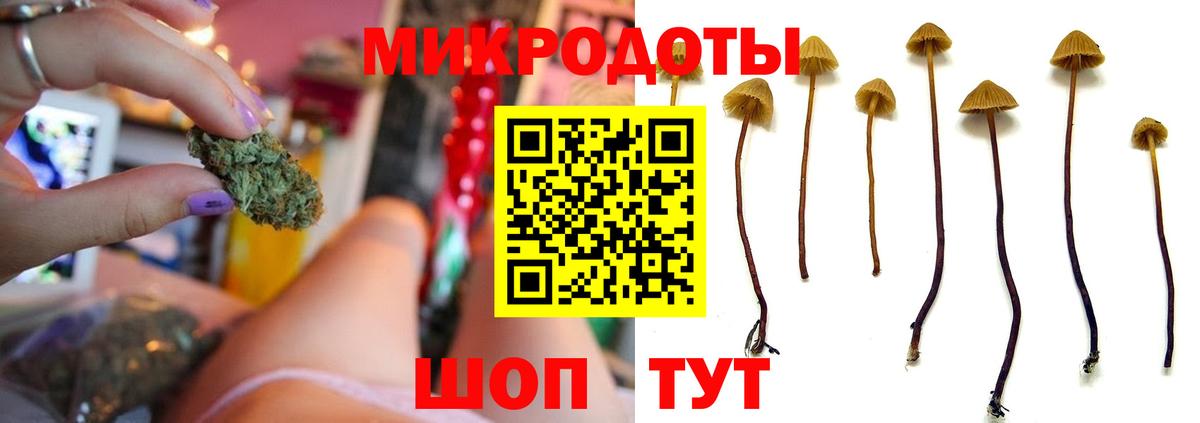 Псилоцибиновые грибы мицелий Белгород